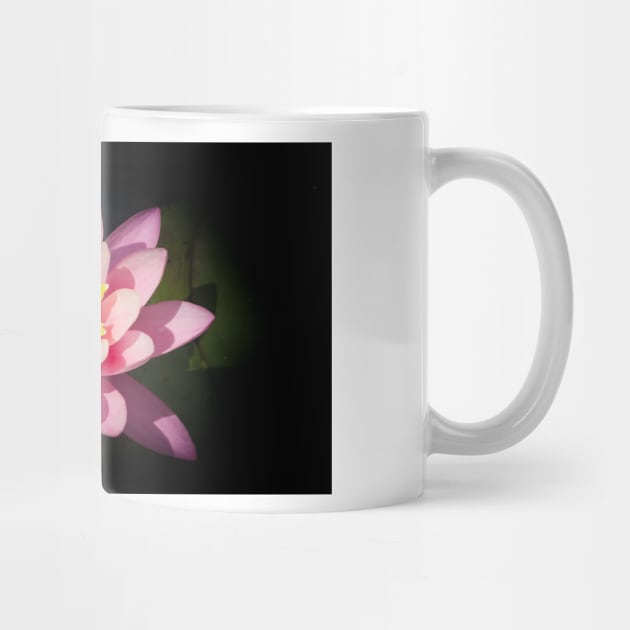 Pink lotus flower by brians101